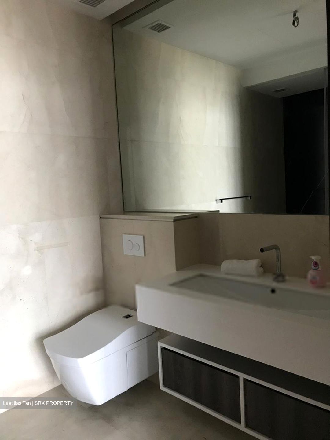 The Scotts Tower (D9), Condominium #396822821